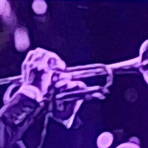 Meet your Posher, Oliver.A